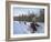 Dog Sledding with Aventure Inukshuk, Quebec, Canada-Alison Wright-Framed Photographic Print