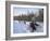 Dog Sledding with Aventure Inukshuk, Quebec, Canada-Alison Wright-Framed Photographic Print