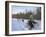 Dog Sledding with Aventure Inukshuk, Quebec, Canada-Alison Wright-Framed Photographic Print