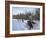 Dog Sledding with Aventure Inukshuk, Quebec, Canada-Alison Wright-Framed Photographic Print