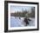 Dog Sledding with Aventure Inukshuk, Quebec, Canada-Alison Wright-Framed Photographic Print