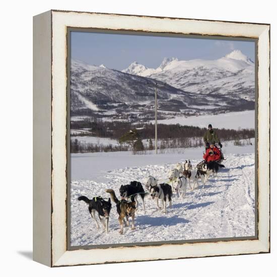 Dog Sledding With Huskies, Tromso Wilderness Centre, Norway, Scandinavia, Europe-null-Framed Premier Image Canvas