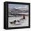 Dog Sledding With Huskies, Tromso Wilderness Centre, Norway, Scandinavia, Europe-null-Framed Premier Image Canvas