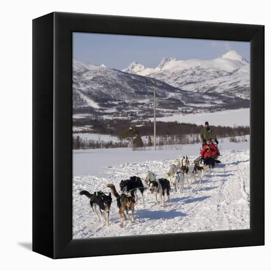 Dog Sledding With Huskies, Tromso Wilderness Centre, Norway, Scandinavia, Europe-null-Framed Premier Image Canvas