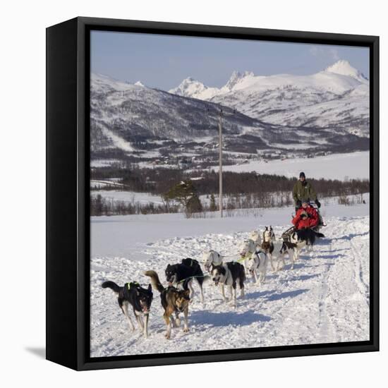 Dog Sledding With Huskies, Tromso Wilderness Centre, Norway, Scandinavia, Europe-null-Framed Premier Image Canvas