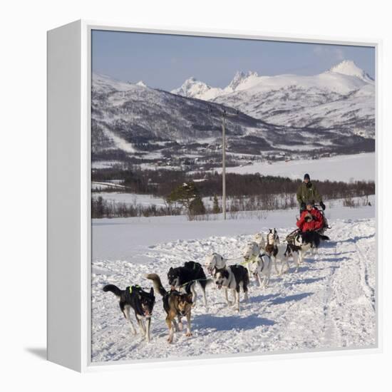 Dog Sledding With Huskies, Tromso Wilderness Centre, Norway, Scandinavia, Europe-null-Framed Premier Image Canvas