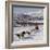 Dog Sledding With Huskies, Tromso Wilderness Centre, Norway, Scandinavia, Europe-null-Framed Photographic Print