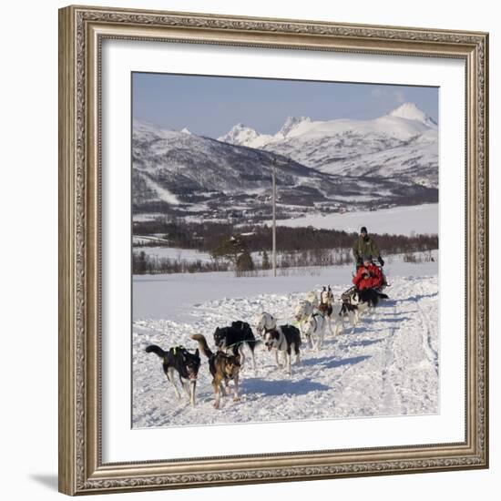 Dog Sledding With Huskies, Tromso Wilderness Centre, Norway, Scandinavia, Europe-null-Framed Photographic Print