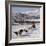Dog Sledding With Huskies, Tromso Wilderness Centre, Norway, Scandinavia, Europe-null-Framed Photographic Print