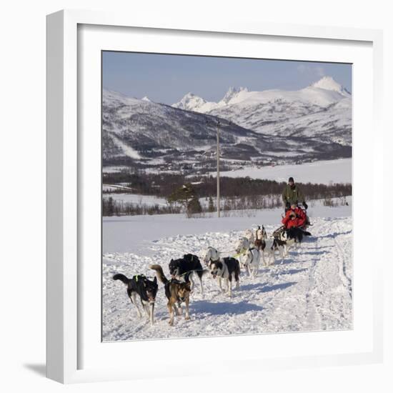 Dog Sledding With Huskies, Tromso Wilderness Centre, Norway, Scandinavia, Europe-null-Framed Photographic Print