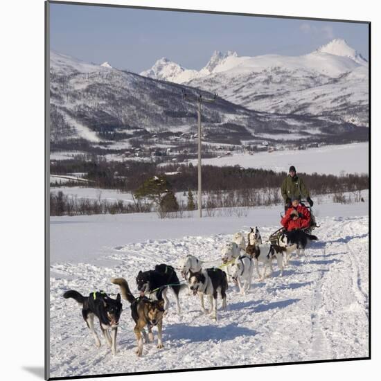 Dog Sledding With Huskies, Tromso Wilderness Centre, Norway, Scandinavia, Europe-null-Mounted Photographic Print
