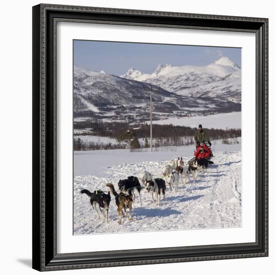 Dog Sledding With Huskies, Tromso Wilderness Centre, Norway, Scandinavia, Europe-null-Framed Photographic Print