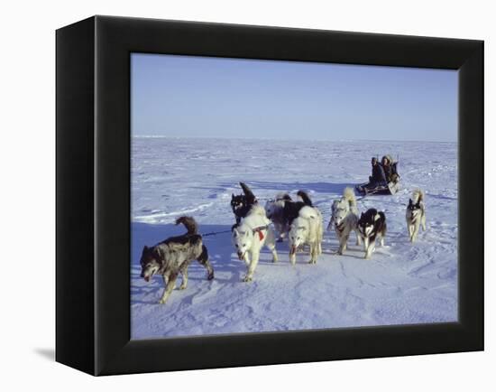 Dog Sledding-null-Framed Premier Image Canvas