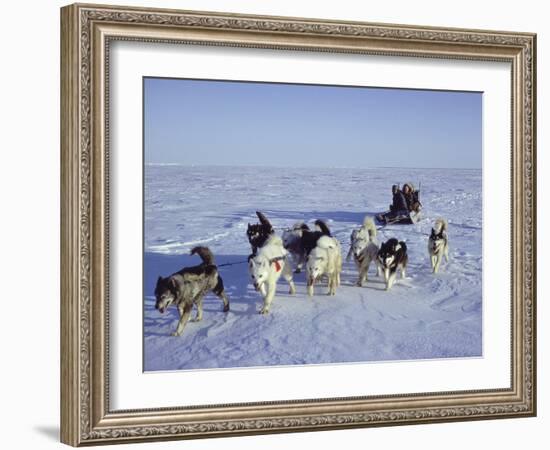 Dog Sledding-null-Framed Photographic Print