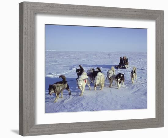 Dog Sledding-null-Framed Photographic Print