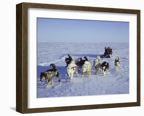 Dog Sledding-null-Framed Photographic Print