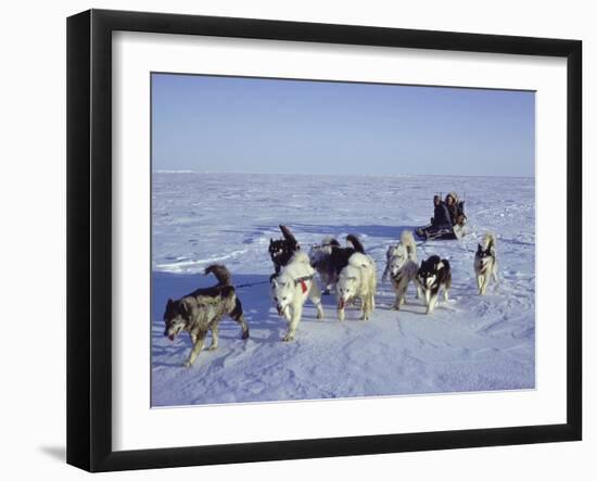 Dog Sledding-null-Framed Photographic Print