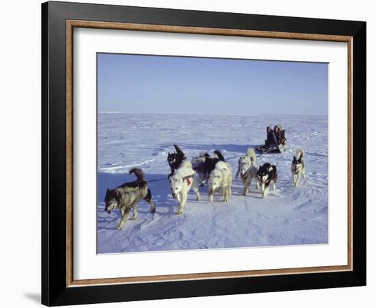 Dog Sledding-null-Framed Photographic Print