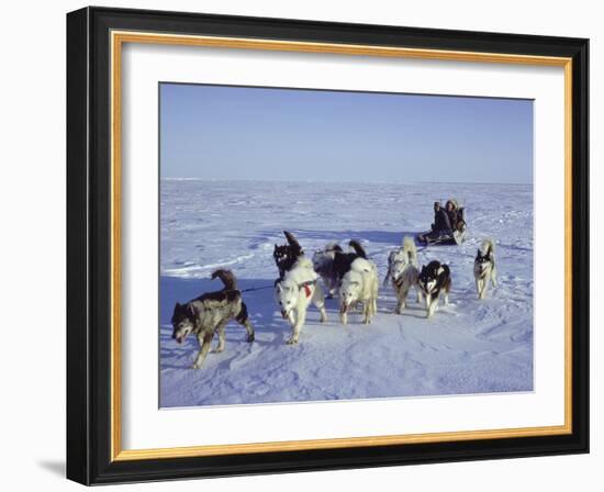 Dog Sledding-null-Framed Photographic Print