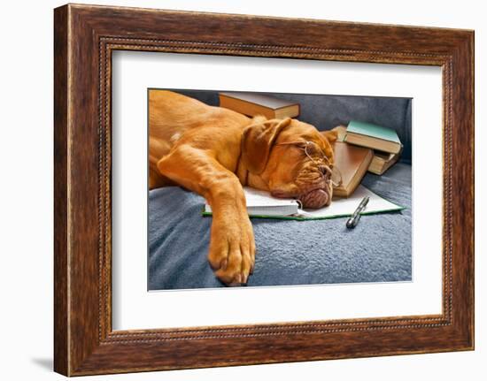 Dog Sleeping In Her Notebook After Studying-vitalytitov-Framed Photographic Print