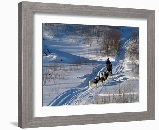 Dog Sleigh, Province of Quebec, Canada-Bruno Morandi-Framed Photographic Print