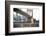 Dog Standing in Front of Brooklyn Bridge and NYC Skyline Horizontal-The Dog Photographer-Framed Photographic Print