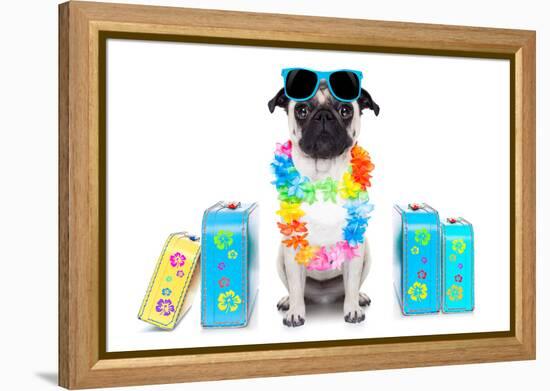 Dog Summer Vacation-Javier Brosch-Framed Premier Image Canvas