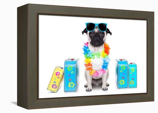 Dog Summer Vacation-Javier Brosch-Framed Premier Image Canvas