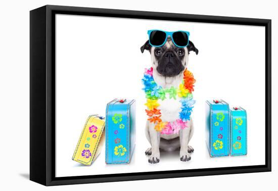 Dog Summer Vacation-Javier Brosch-Framed Premier Image Canvas
