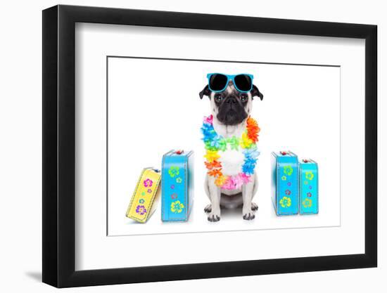 Dog Summer Vacation-Javier Brosch-Framed Photographic Print