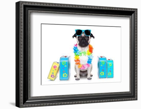 Dog Summer Vacation-Javier Brosch-Framed Photographic Print