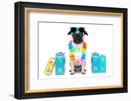 Dog Summer Vacation-Javier Brosch-Framed Photographic Print