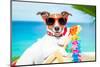 Dog Summer Vacation-Javier Brosch-Mounted Photographic Print