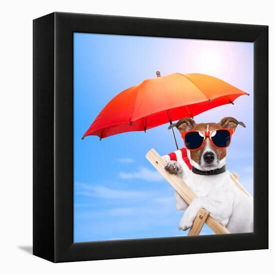 Dog Sunbathing On A Deck Chair-Javier Brosch-Framed Premier Image Canvas