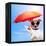 Dog Sunbathing On A Deck Chair-Javier Brosch-Framed Premier Image Canvas