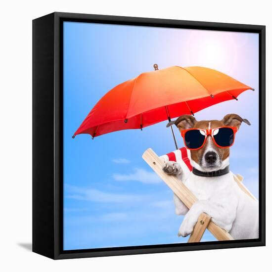 Dog Sunbathing On A Deck Chair-Javier Brosch-Framed Premier Image Canvas