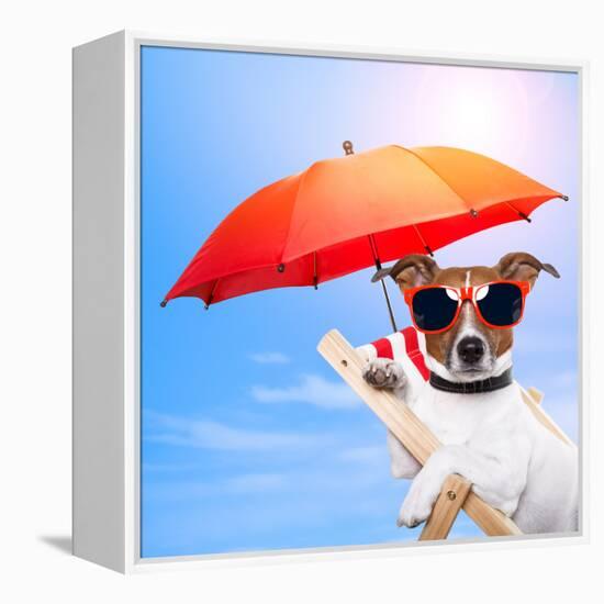 Dog Sunbathing On A Deck Chair-Javier Brosch-Framed Premier Image Canvas