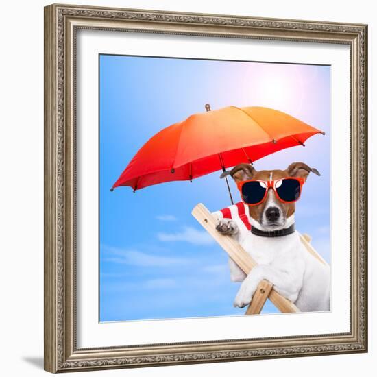 Dog Sunbathing On A Deck Chair-Javier Brosch-Framed Photographic Print