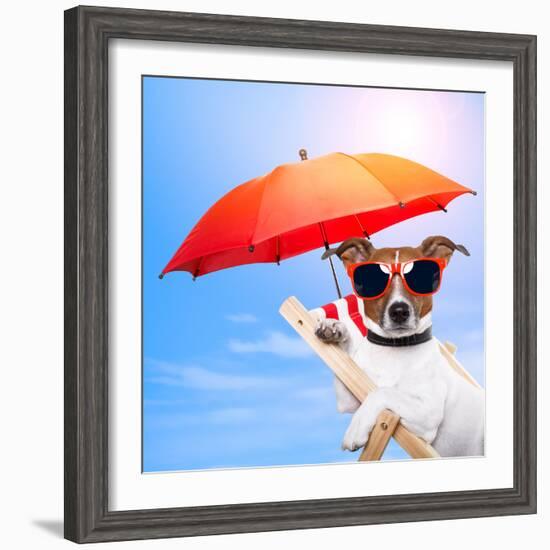 Dog Sunbathing On A Deck Chair-Javier Brosch-Framed Photographic Print