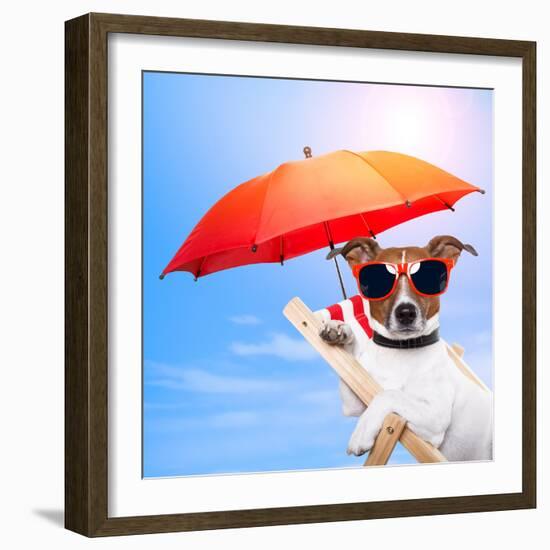 Dog Sunbathing On A Deck Chair-Javier Brosch-Framed Photographic Print