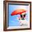 Dog Sunbathing On A Deck Chair-Javier Brosch-Framed Photographic Print