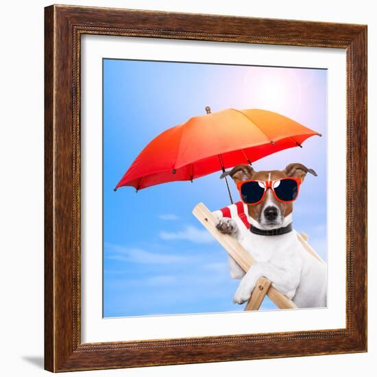 Dog Sunbathing On A Deck Chair-Javier Brosch-Framed Photographic Print