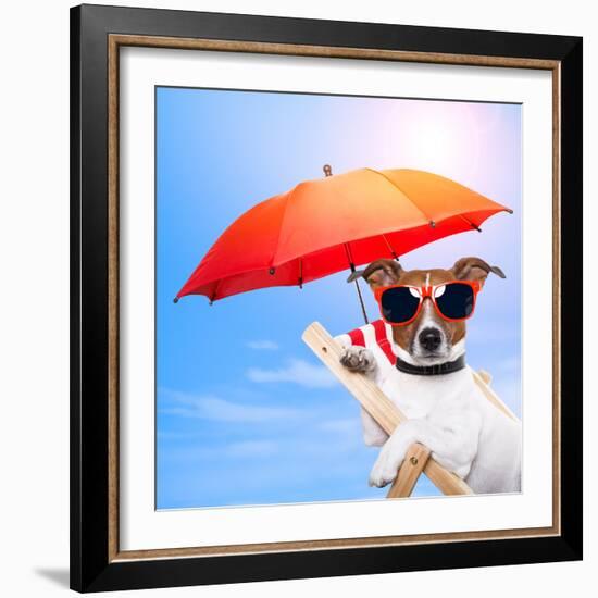 Dog Sunbathing On A Deck Chair-Javier Brosch-Framed Photographic Print