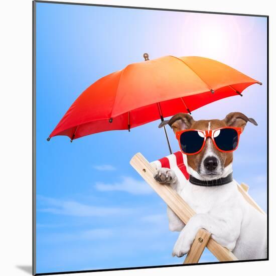 Dog Sunbathing On A Deck Chair-Javier Brosch-Mounted Photographic Print