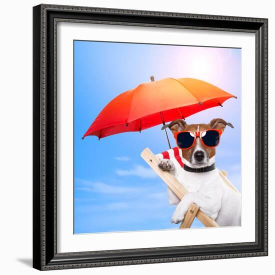 Dog Sunbathing On A Deck Chair-Javier Brosch-Framed Photographic Print