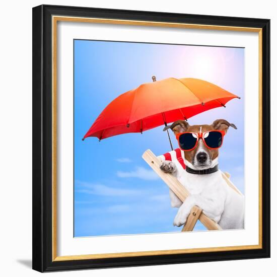 Dog Sunbathing On A Deck Chair-Javier Brosch-Framed Photographic Print