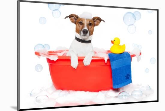 Dog Taking A Bath in A Colorful Bathtub with A Plastic Duck-Javier Brosch-Mounted Photographic Print