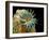 Dog Tapeworm Head, SEM-Steve Gschmeissner-Framed Photographic Print