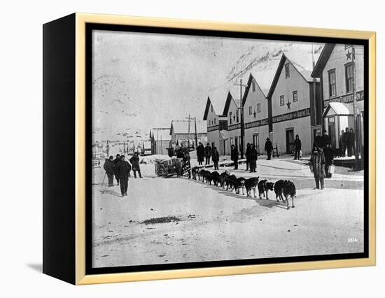 Dog Team (Dawson, Alaska)-Joe Smith-Framed Premier Image Canvas