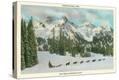 Stretched Canvas Print